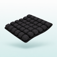 Strivanova AirCell™ Cushion