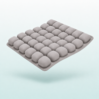 Strivanova AirCell™ Cushion
